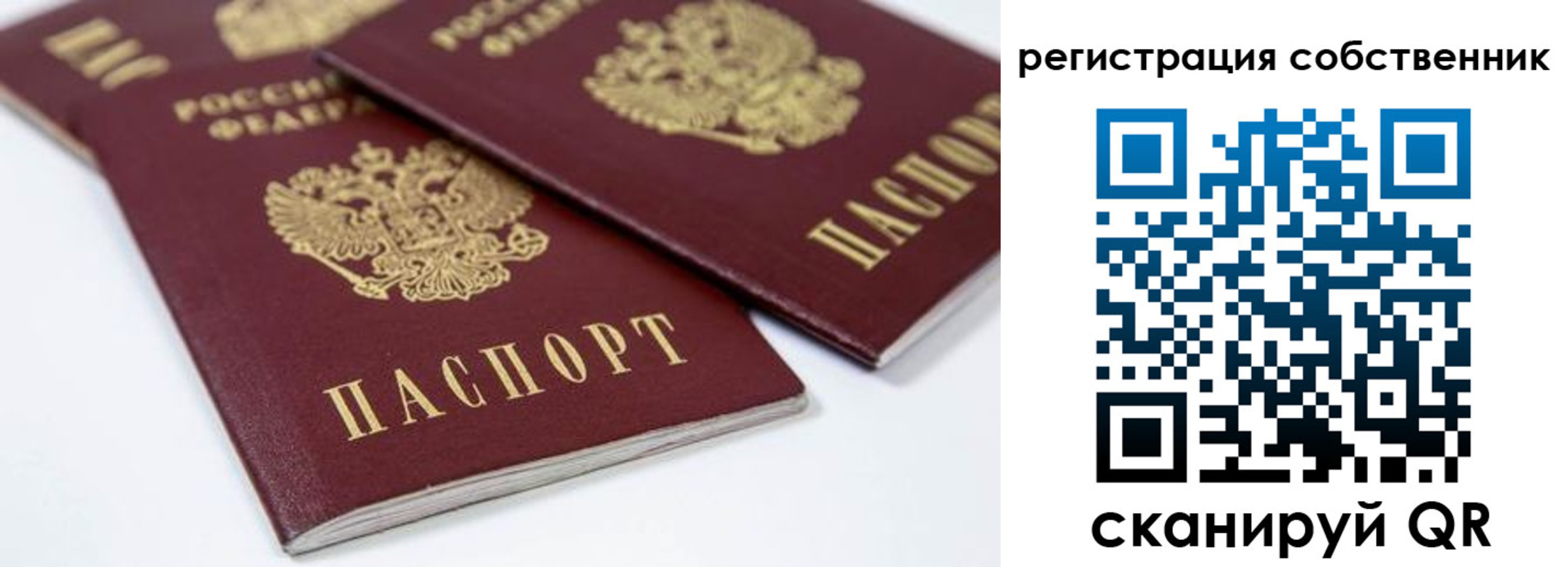 прописка для школы в Лыткарино